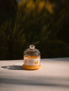 Citrus Tart-Agrumi Pop