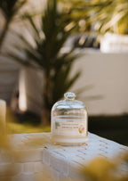 Creamy Ice Cream-Cocco Cremoso