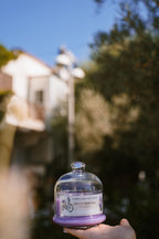 Trip in Provence - Lavanda