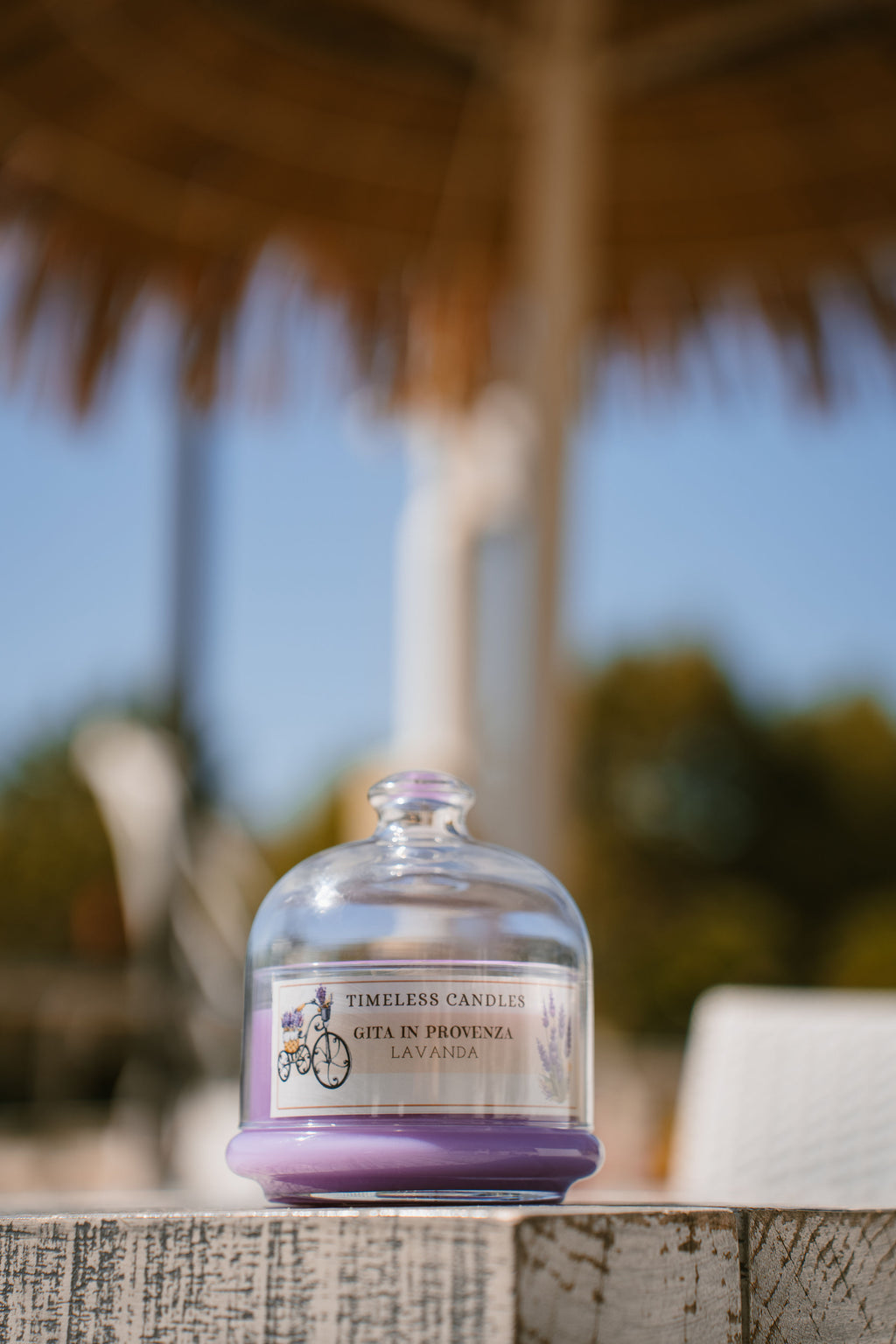Trip in Provence - Lavanda