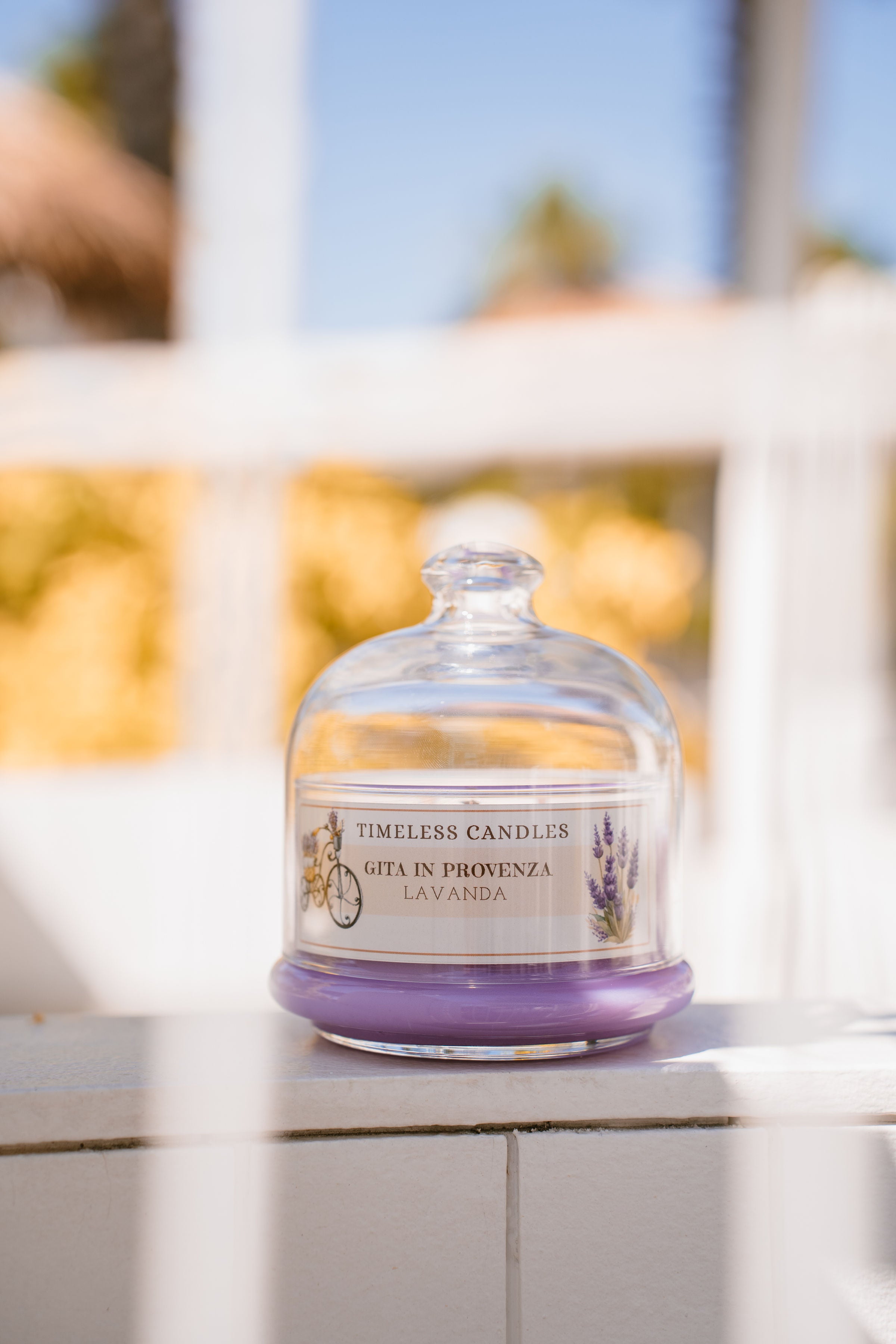 Trip in Provence - Lavanda