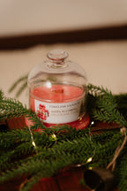 Santa is coming… - Melograno e ribes