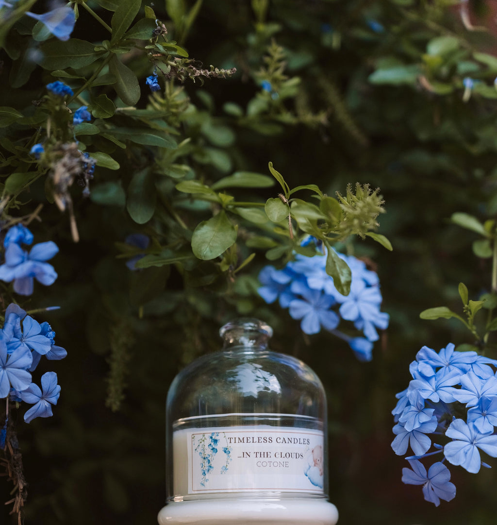 …In the Clouds - Cotone