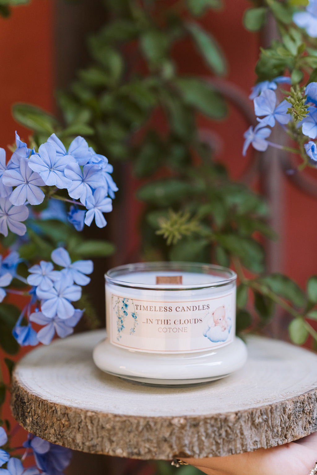 …In the Clouds - Cotone