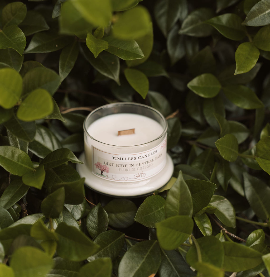 Bike Ride in Central Park- Fiori di ciliegio