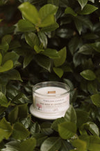 Bike Ride in Central Park- Fiori di ciliegio