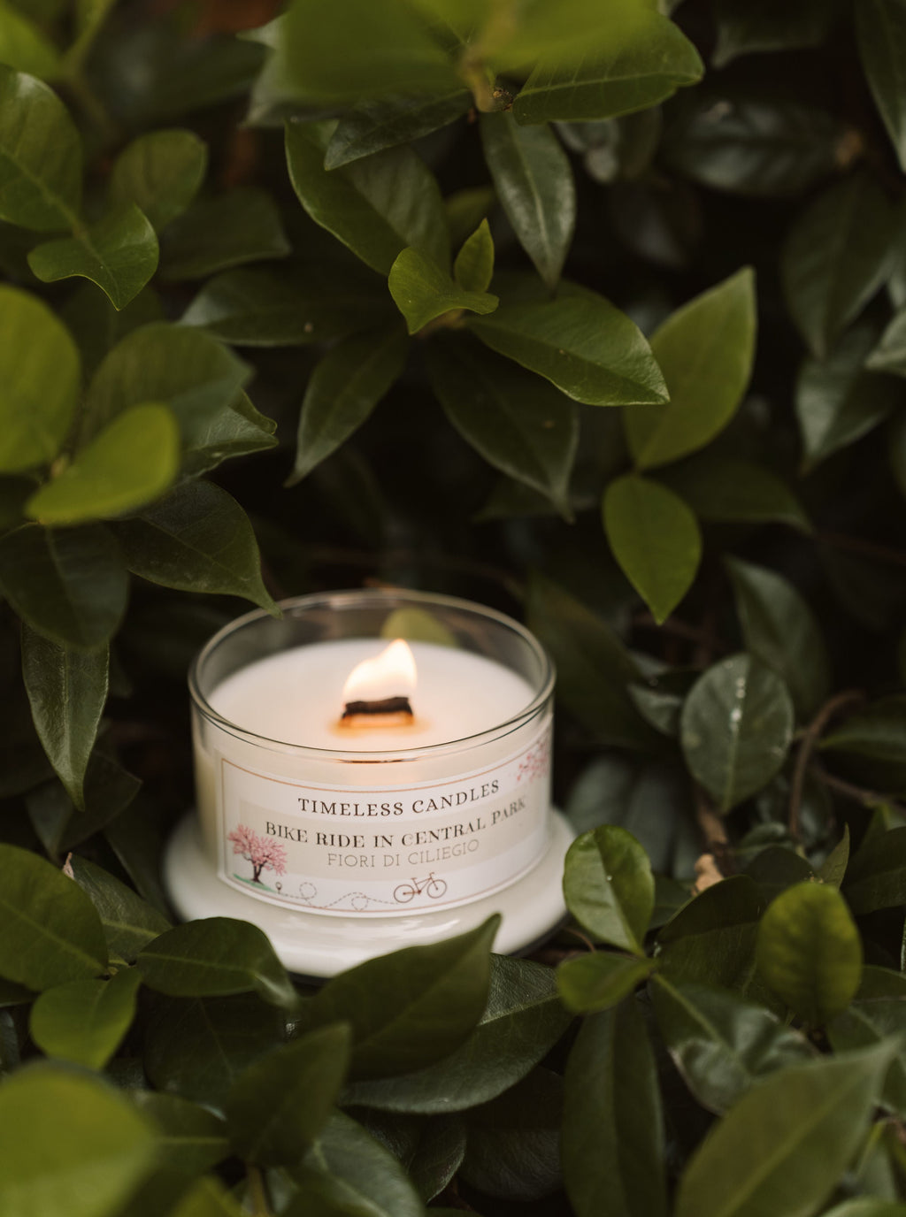 Bike Ride in Central Park- Fiori di ciliegio