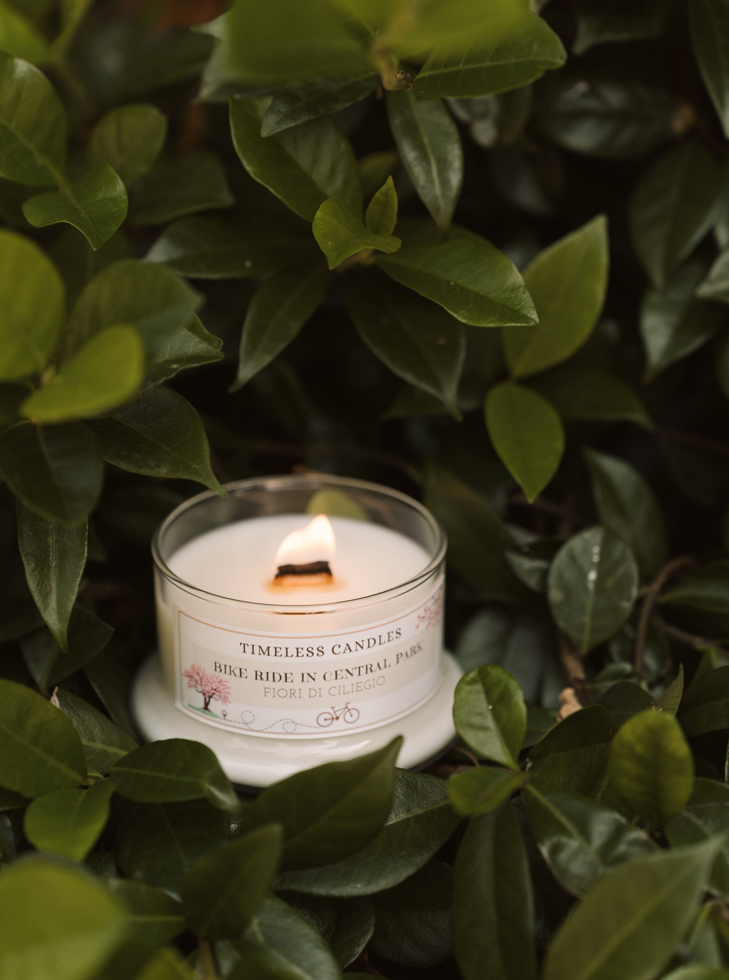 Bike Ride in Central Park- Fiori di ciliegio