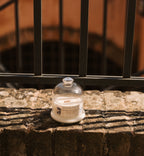 Business Meeting in Wall Street- Patchouli